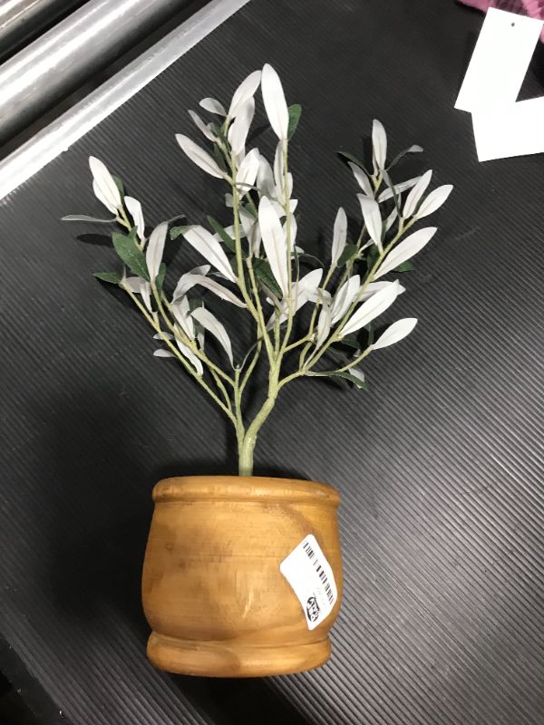 Photo 2 of 16" x 12" Faux Olive Leaf Potted Plant - Hearth & Hand™ with Magnolia

