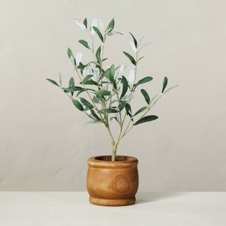 Photo 1 of 16" x 12" Faux Olive Leaf Potted Plant - Hearth & Hand™ with Magnolia

