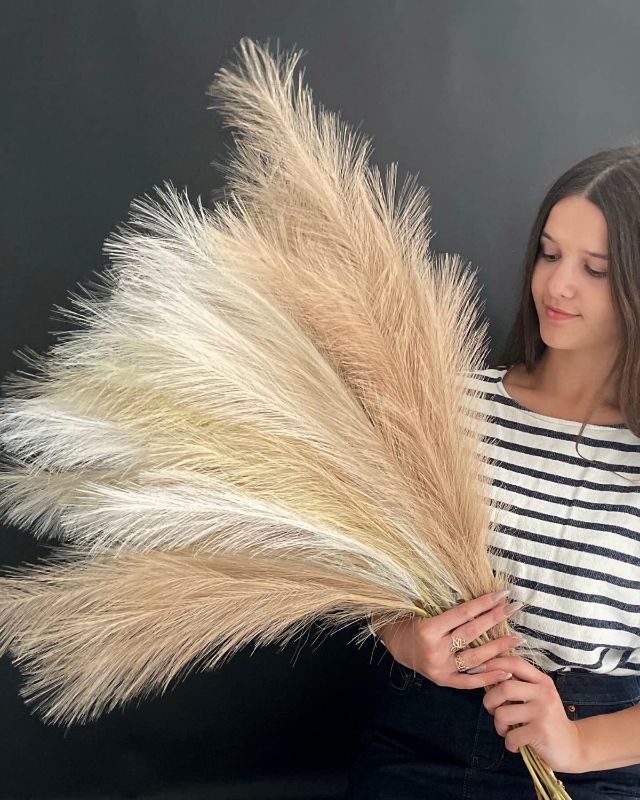 Photo 1 of 5 PCS Faux Pampas Grass Decor 33” Tall - Fake Pampas Grass in 3 Cream Colours-Wedding Boho Decor Feathers-Small Artificial Grass for Table & Floor Vase (Natural)
