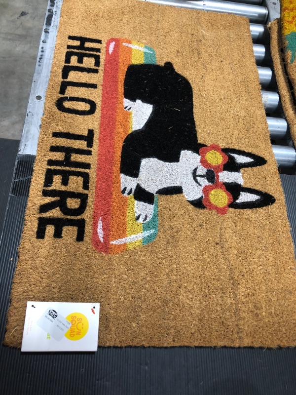 Photo 2 of  1'6"x2'6" Hello Summer Dog Doormat 


