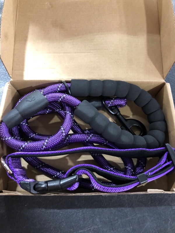 Photo 1 of [Size L] Pet Leash and Collar Set [Purple] 