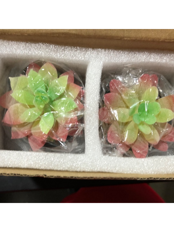 Photo 1 of 2 Pack- Faux Succulents 