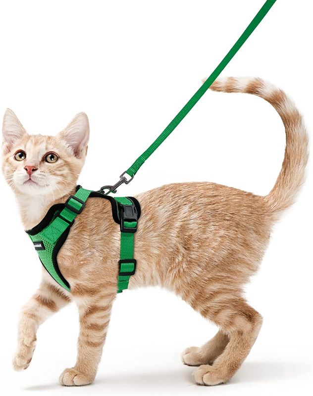 Photo 1 of [Size S] rabbitgoo Cat Harness and Leash for Walking, Escape Proof, Easy Control Breathable Reflective Strips Jacket, Grass Green