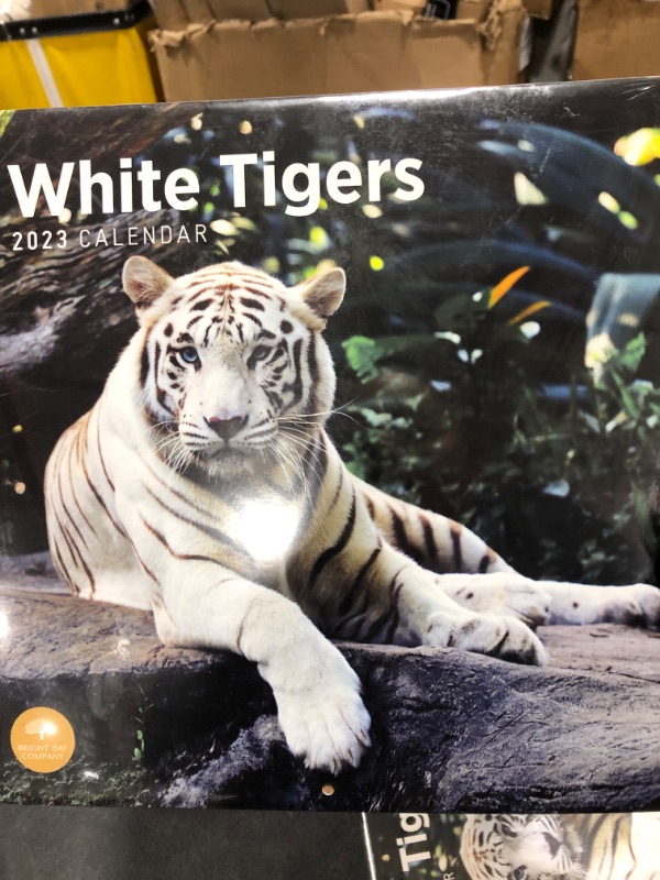 Photo 2 of 2023 White Tigers Wall Calendar by Bright Day, 12x12 Inch, Beautiful Nature Wildlife Photography