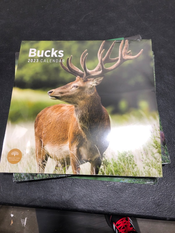 Photo 2 of 2023 Bucks Wall Calendar by Bright Day, 12x12 Inch, Deer Beautiful Wildlife Nature Animal Hunting Photography