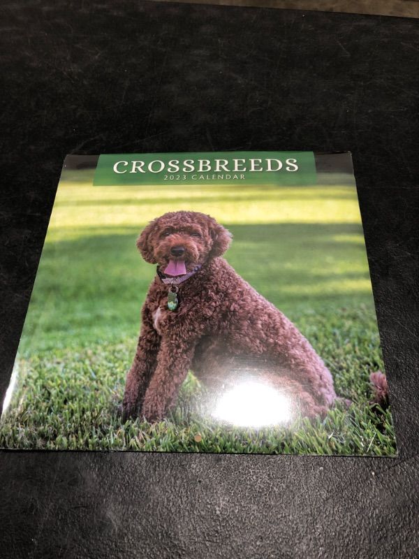 Photo 2 of 2023 Crossbreeds Monthly Wall Calendar by Red Robin Calendars 12" x 12"