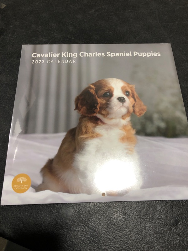 Photo 2 of 2023 Cavalier King Charles Spaniel Puppies Wall Calendar by Bright Day, 12x12 Inch, Cute Adorable Pet Dog Photography