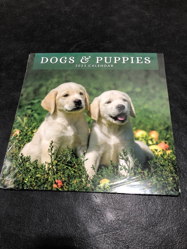 Photo 2 of 2023 Dogs & Puppies Monthly Wall Calendar by Red Robin Calendars 12" x 12"