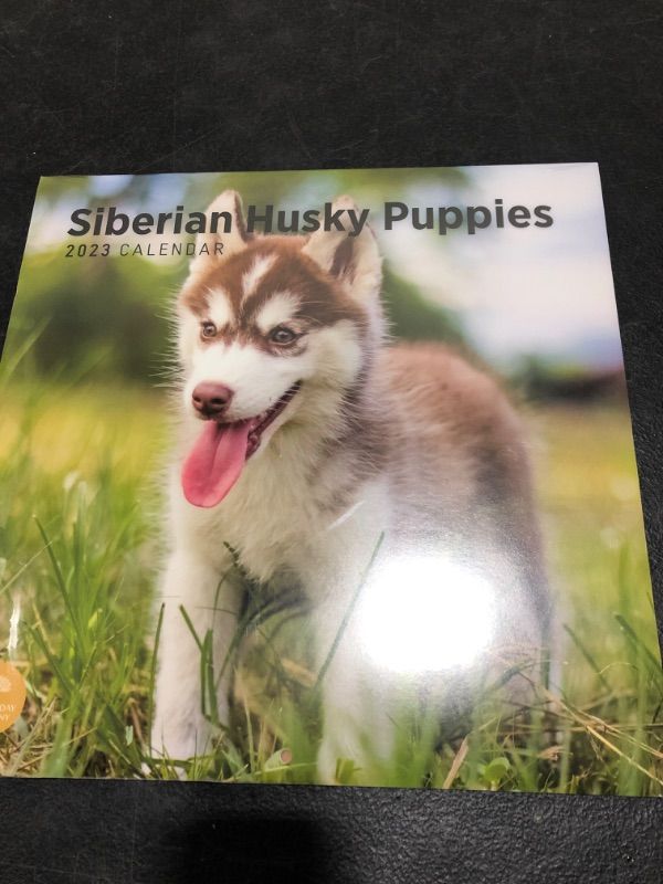 Photo 2 of 2023 Siberian Husky Puppies Wall Calendar by Bright Day, 12x12 Inch, Cute Adorable Pet Dog Photography