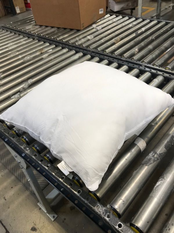 Photo 1 of 22"x22" White Pillow