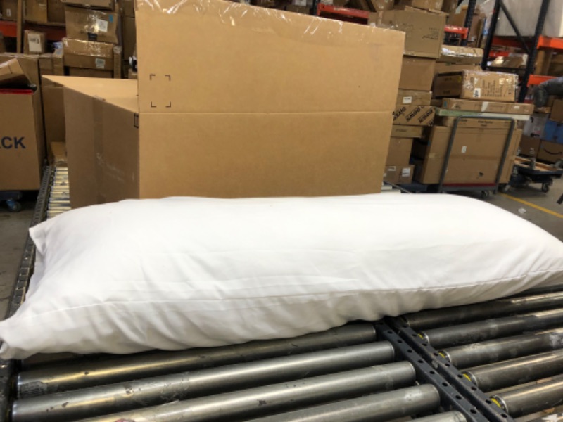 Photo 2 of 21x 54 Inch), Long Pillow for Sleeping, Large Pillow Insert for Side Sleepers - clean before use 