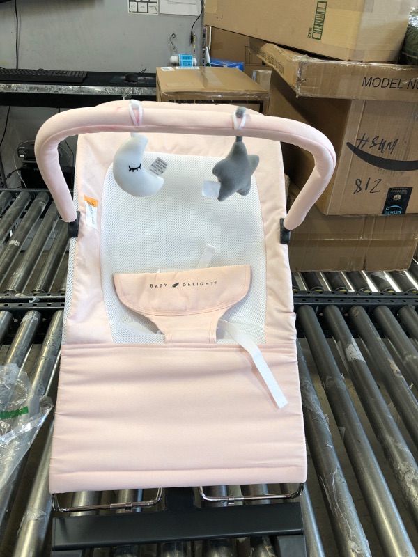 Photo 2 of Baby Delight Alpine Deluxe Portable Bouncer | Infant | 0 – 6 Months | Peony Pink