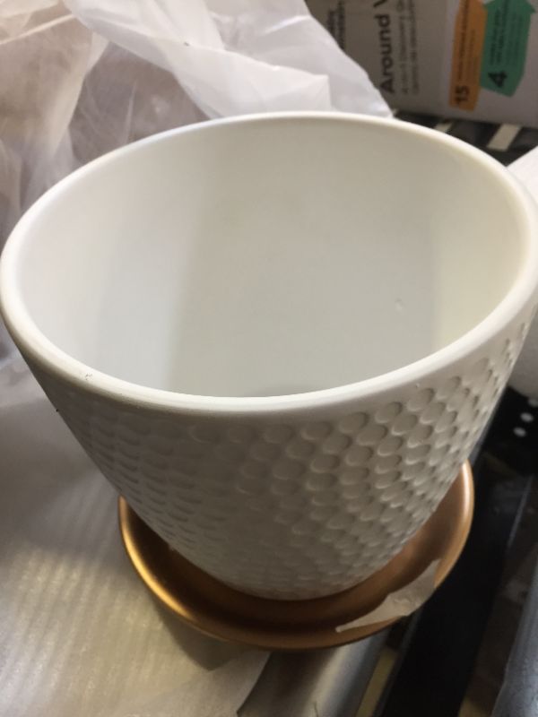 Photo 6 of 10 Inch Plant Pot with Drainage and Saucer, 7.5 Inch Ceramic Indoor Pot Plant, White Honeycomb Pattern Big Flower Planters Outdoor, Large Plant Pot Set (10"+7.5" and Gold Saucer Included) 7.5 inch+10 inch ------- SMALL SAUCER CHIPPED 