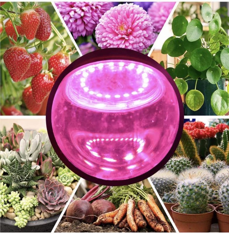 Photo 2 of 3 Pack LED Indoor Plant Grow Light Bulb A19 Bulb, Full Spectrum Plant Light Bulb, 9W E26 Grow Bulb Replace up to 100W, Grow Light for Indoor Plants, Flowers, Greenhouse, Indore Garden, Hydroponic
