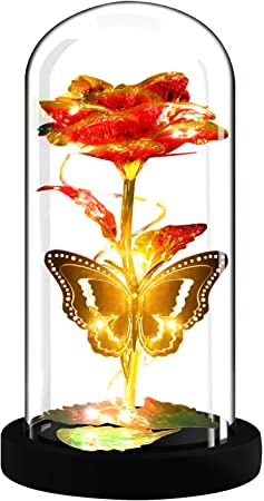 Photo 1 of AHNNER Mother's Day Rose Gifts for Women Wife Girlfriend Mom Grandma Her, Glass Artificial Forever Roses Flowers Beauty and The Beast Light Rose Present Decor for Birthday Mother's Day Thanksgiving
