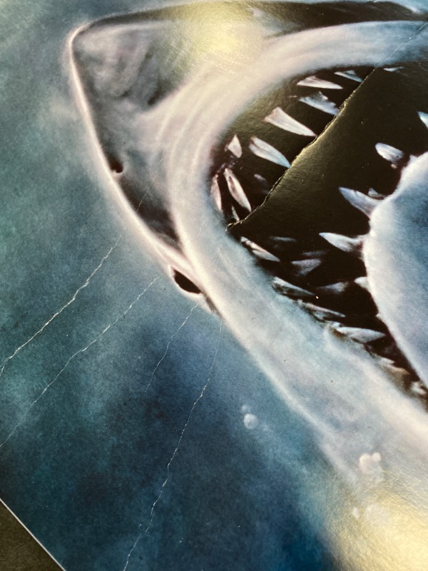 Photo 3 of Trends International Jaws - One Sheet Wall Poster, 14.725" x 22.375", Black Framed Version