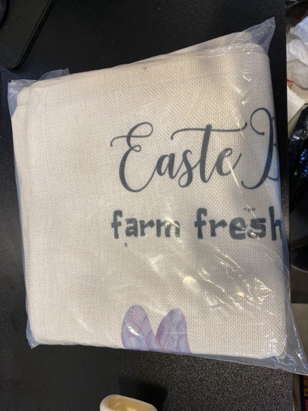 Photo 2 of Easter Farmhouse 4 16x16 Pillow Case NEW 