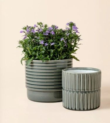 Photo 1 of Rhine Slate Gray Pots NEW 