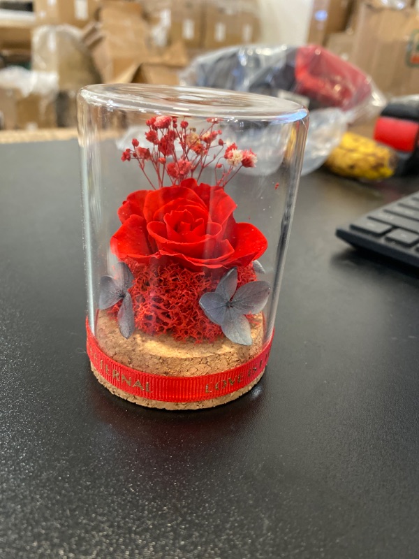 Photo 2 of Preserved Rose in Glass Dome,Handmade Preserved Flowers Gift for Girls Women Mom, Valentines Day Mothers Day Birthday Anniversary Wedding (Red) NEW 