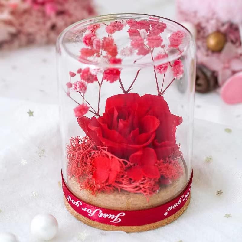 Photo 1 of Preserved Rose in Glass Dome,Handmade Preserved Flowers Gift for Girls Women Mom, Valentines Day Mothers Day Birthday Anniversary Wedding (Red) NEW 