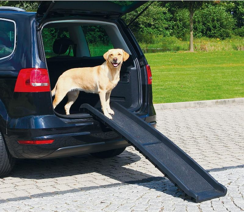 Photo 2 of Portable Folding Dog Ramp