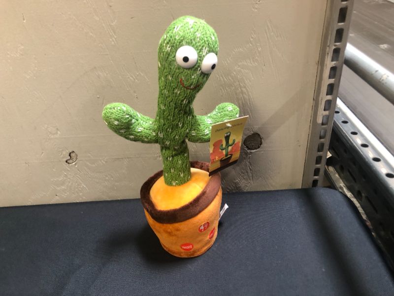 Photo 1 of generic dancing cactus 