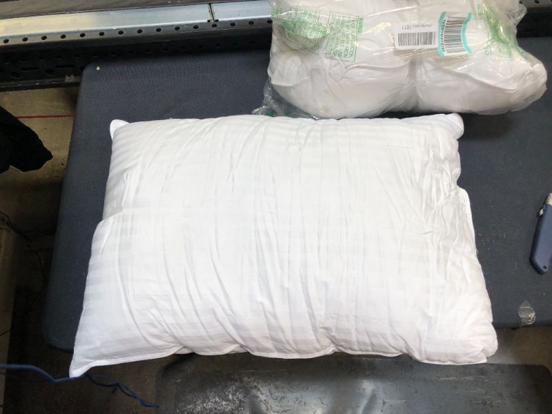 Photo 1 of 2 Pk generic 18"x23" pillows 