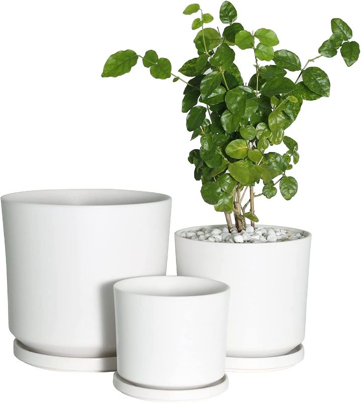 Photo 1 of Buyaround Plant Pots, Ceramic Planters Indoor, Modern White Flower Pots with Drainage Hole and Saucer, Set of 3 (5.9 + 7.6 + 9.2 Inch)
