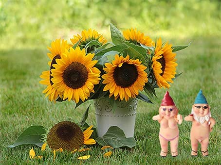 Photo 1 of 2 Pieces Small Naked Gnome Statue, SPWOLFRT 4.7 Inch Tiny Garden Goblin-Art Decoration Peeing Gnome Naughty Garden Statue Fun Gnome Statue for Home Indoor Outdoor Lawn Garden Decor, Man and Woman (A)