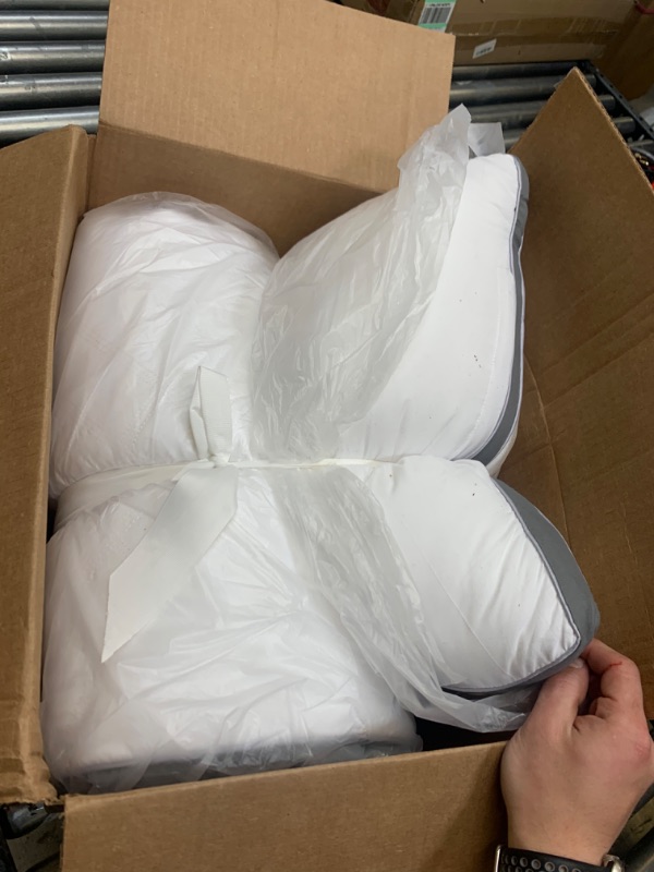 Photo 1 of 21"x 54" White Cotton Pillow Insert --- Box Packaging Damaged, Minor Use, Dirty From Previous Use
