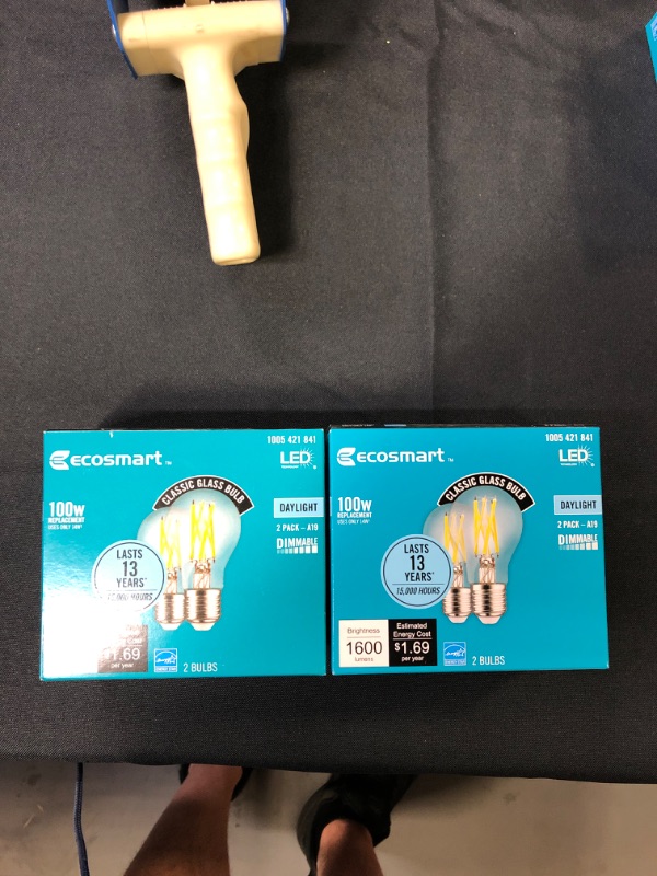 Photo 2 of 100-Watt Equivalent A19 ENERGY STAR and CEC Dimmable LED Light Bulb in Daylight (2-Pack)
bundle of 2 