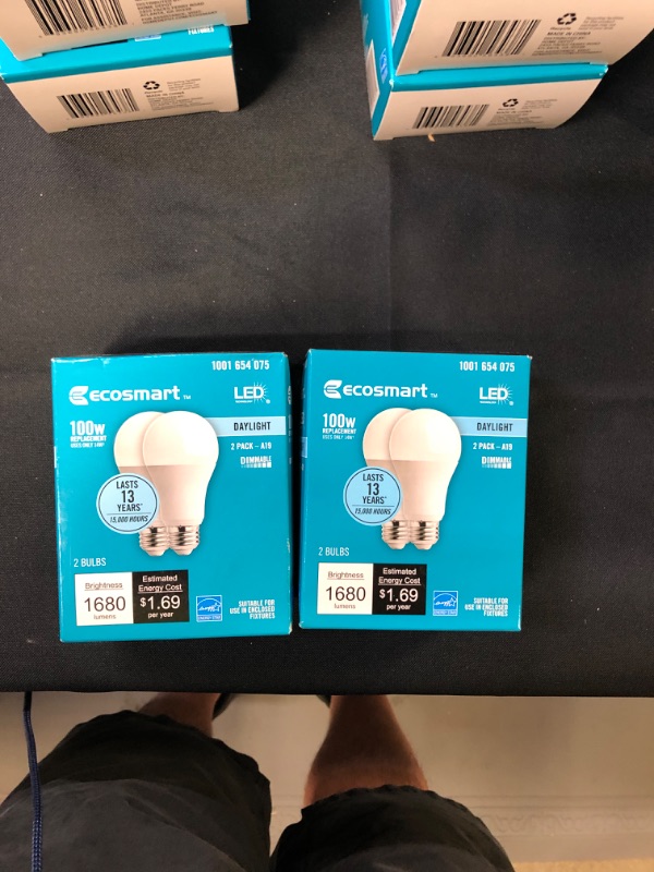 Photo 2 of EcoSmart 100-Watt Equivalent A19 Dimmable Energy Star LED Light Bulb Daylight (2-Pack)
bundle of 2