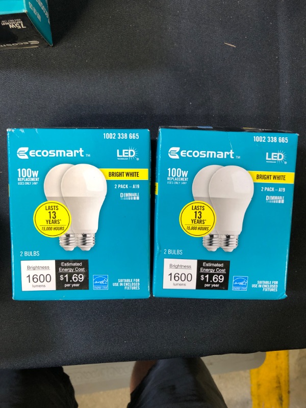 Photo 1 of EcoSmart 100-Watt Equivalent A19 Dimmable Energy Star LED Light Bulb Soft White (2-Pack)
bundle of 2