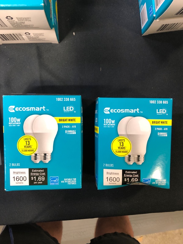 Photo 2 of EcoSmart 100-Watt Equivalent A19 Dimmable Energy Star LED Light Bulb Bright White (2-Pack)
bundle of 2