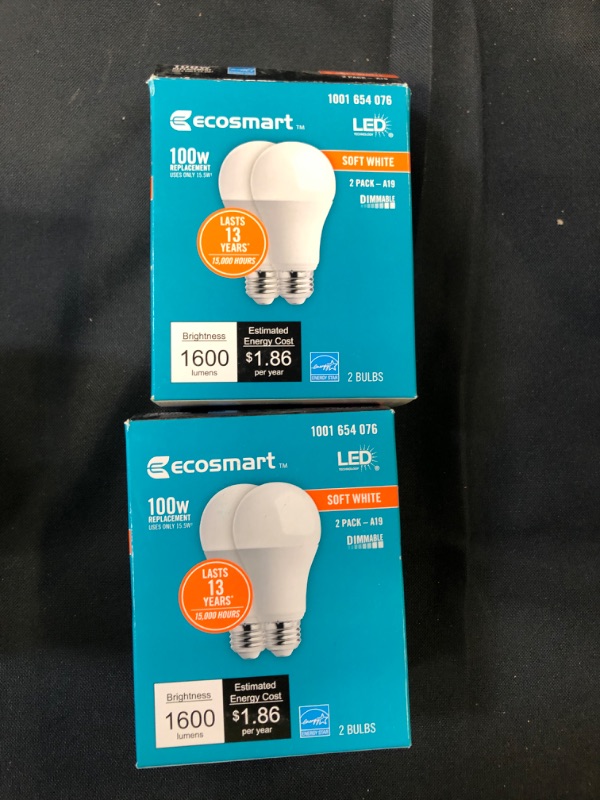 Photo 2 of EcoSmart 100-Watt Equivalent A19 Dimmable Energy Star LED Light Bulb Soft White (2-Pack)
bundle of 2 