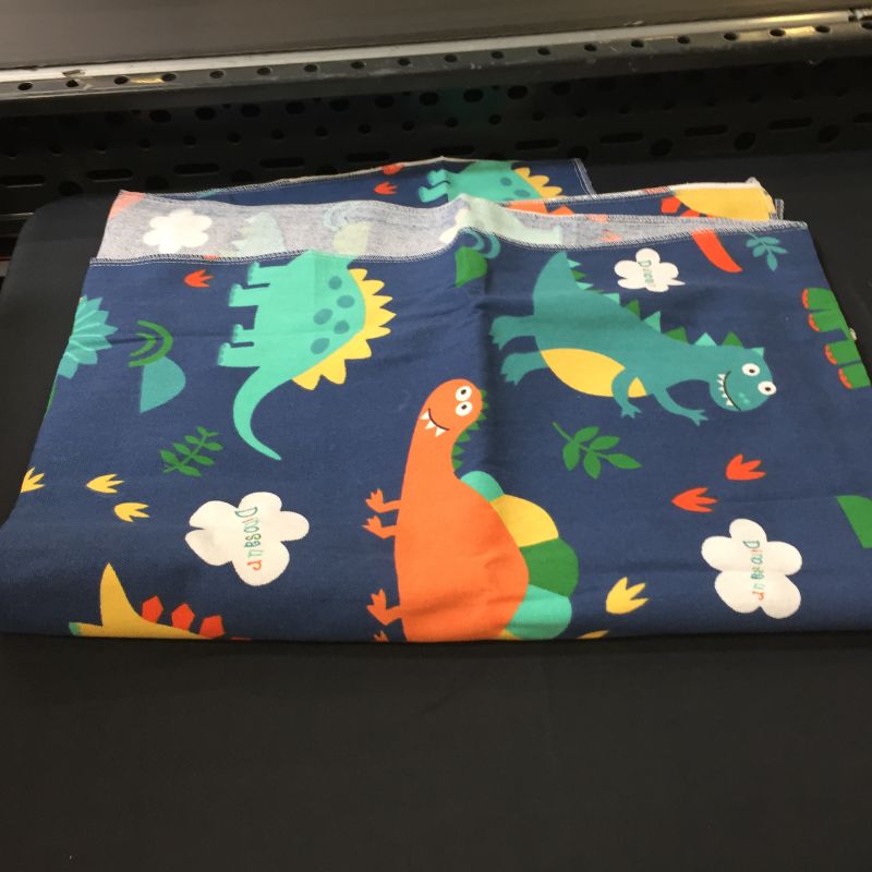 Photo 1 of Kids' Dinosaur Tarp/Mat