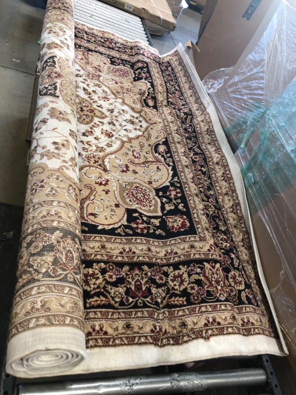 Photo 1 of 8X12 PERSIAN AREA RUG VICTORIA 2625A