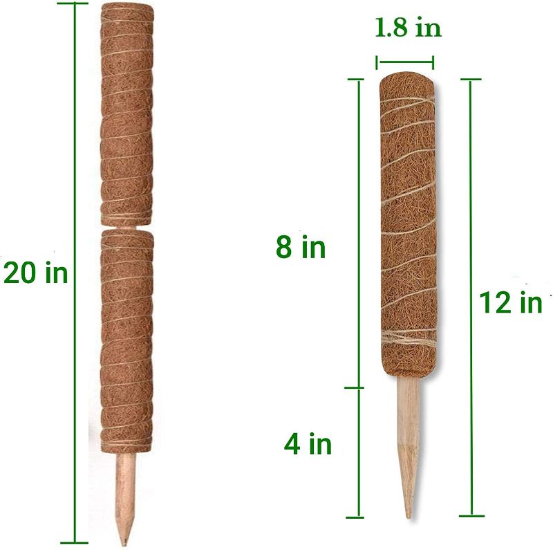 Photo 1 of Coir Pole for Potted Plant - 4 Pack 12" Plant Stake Support for Climbing Plant Coir Moss Stick for Plant Support (4, 12 inch)
