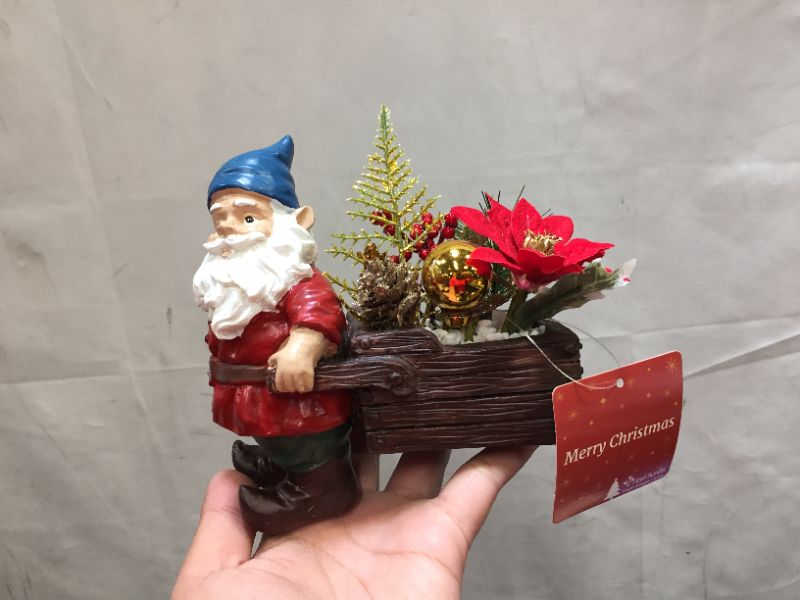 Photo 2 of Flora Bunda Gnome Pull w/Xmas Mix
