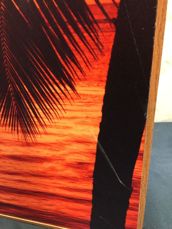 Photo 4 of 2FTX3FT SUNSET PALM CANVAS ART WITH WOOD FRAME
MINOR SCRATCHES ON ITEM AS SHOWN IN PICTURES