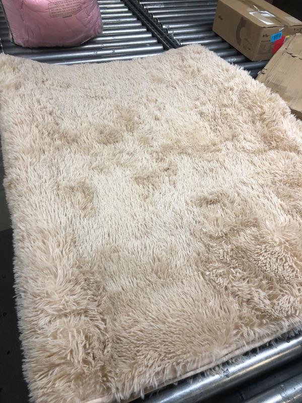 Photo 1 of 49 X 70 AEA RUG BROWN 