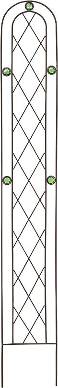 Photo 1 of Arcadia Garden Products TR03 Arched Garden Trellis 6' x 10", Black