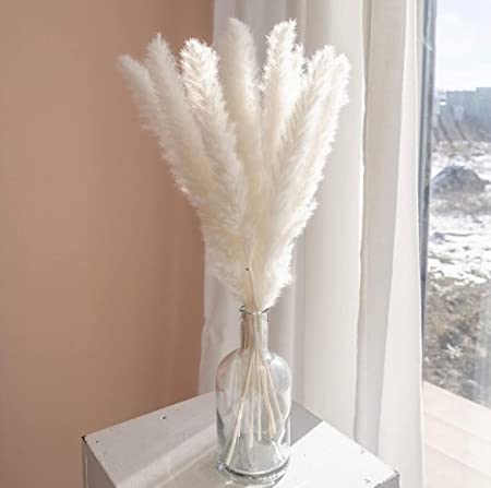 Photo 1 of AlobyC White Pampas Grass, Mini Pampas Grass Decor Fluffy (15pcs). Pompas Grass, Boho Decor. White Feathers (White | 15 pcs | 18 inch)
