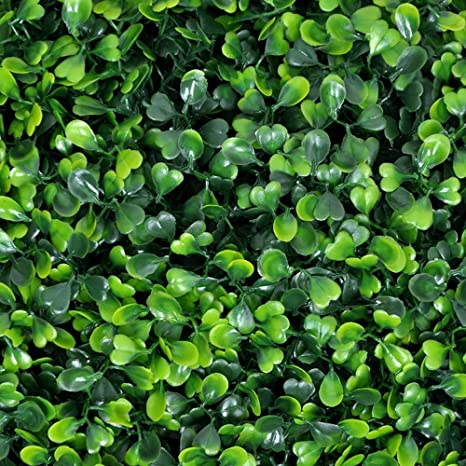 Photo 1 of Artificial Boxwood Hedge, Privacy Hedge Screen, UV Protected Faux Greenery Mats, Boxwood Wall, Suitable for Both Outdoor or Indoor, Garden, Backyard and Home Décor,20 x 20 Inch (12 Piece)