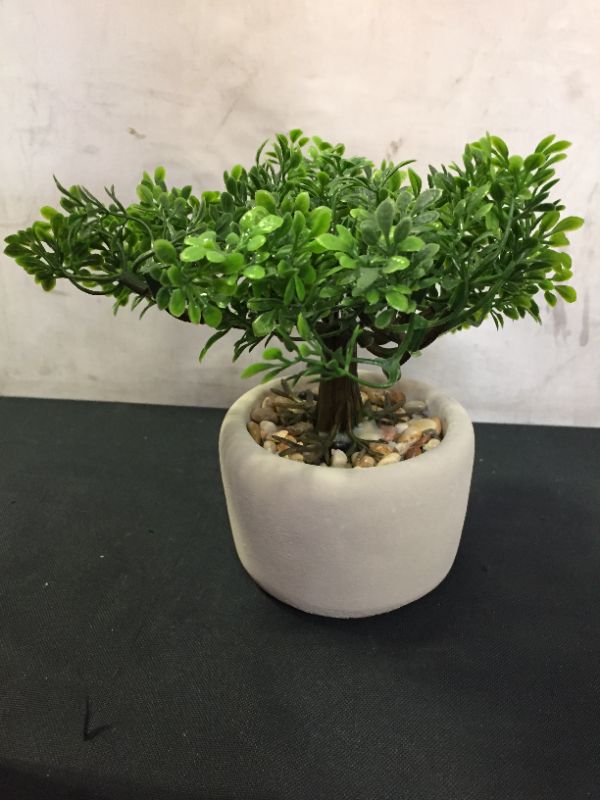 Photo 3 of F&D Home 7.48-Inch Fake Bonsai Tree Potted,Artificial Bonsai Tree with Cement Pot, Home and Office Decor, Table, Desk, Gift
