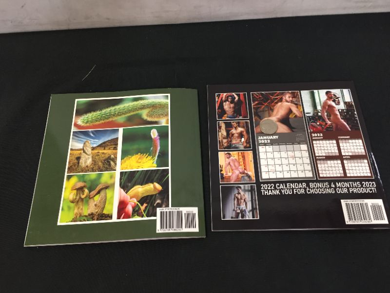 Photo 2 of 2 PACK FUNNY CALENDARS, HOT WORKMAN, NATURE'S DICK'S  