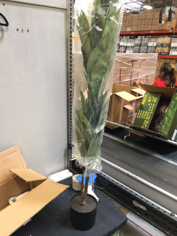 Photo 1 of 4' faux plant 