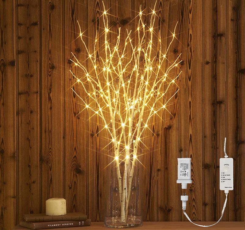 Photo 1 of Birch Branches Plug in 32IN 150 LED Fairy Lights, White Willow
(BRANCHES ONLY)