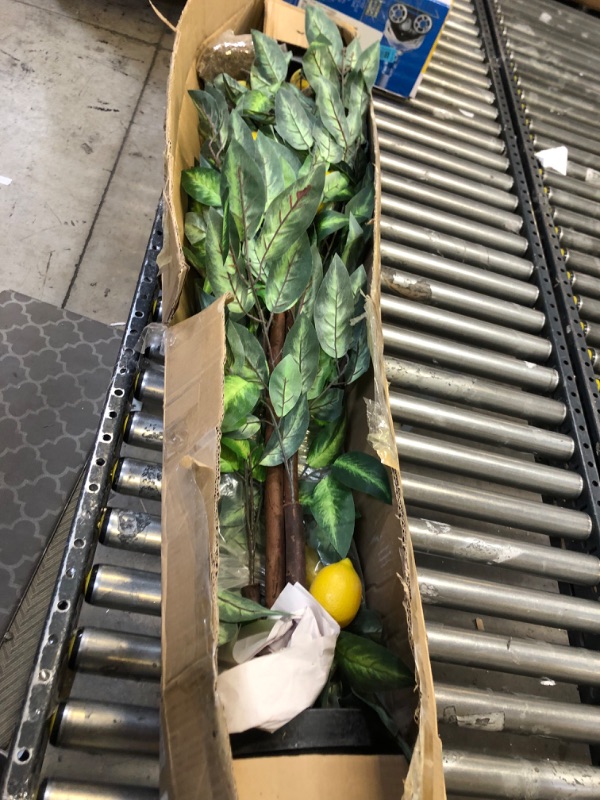 Photo 1 of AMERIQUE Pair 4 Feet Gorgeous & Lifelike Six-Branch Artificial Trees with Various Size Lemon Fruits, with Sculpting Resin Trunks and Pot, Real Touch Tech, 48" Each, Green and Yellow, 2