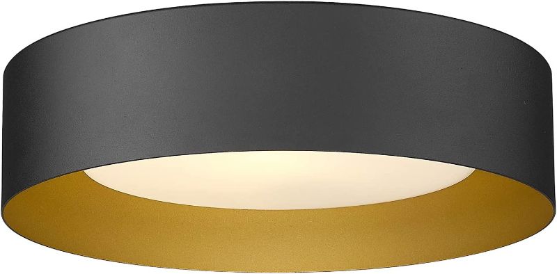Photo 1 of AUTELO Flush Mount Ceiling Light, 14" Frosted Glass Shade Close to Ceiling Light Fixture in Black Finish E26 Socket for Living Room Hallway Bedroom C3336XS BK
